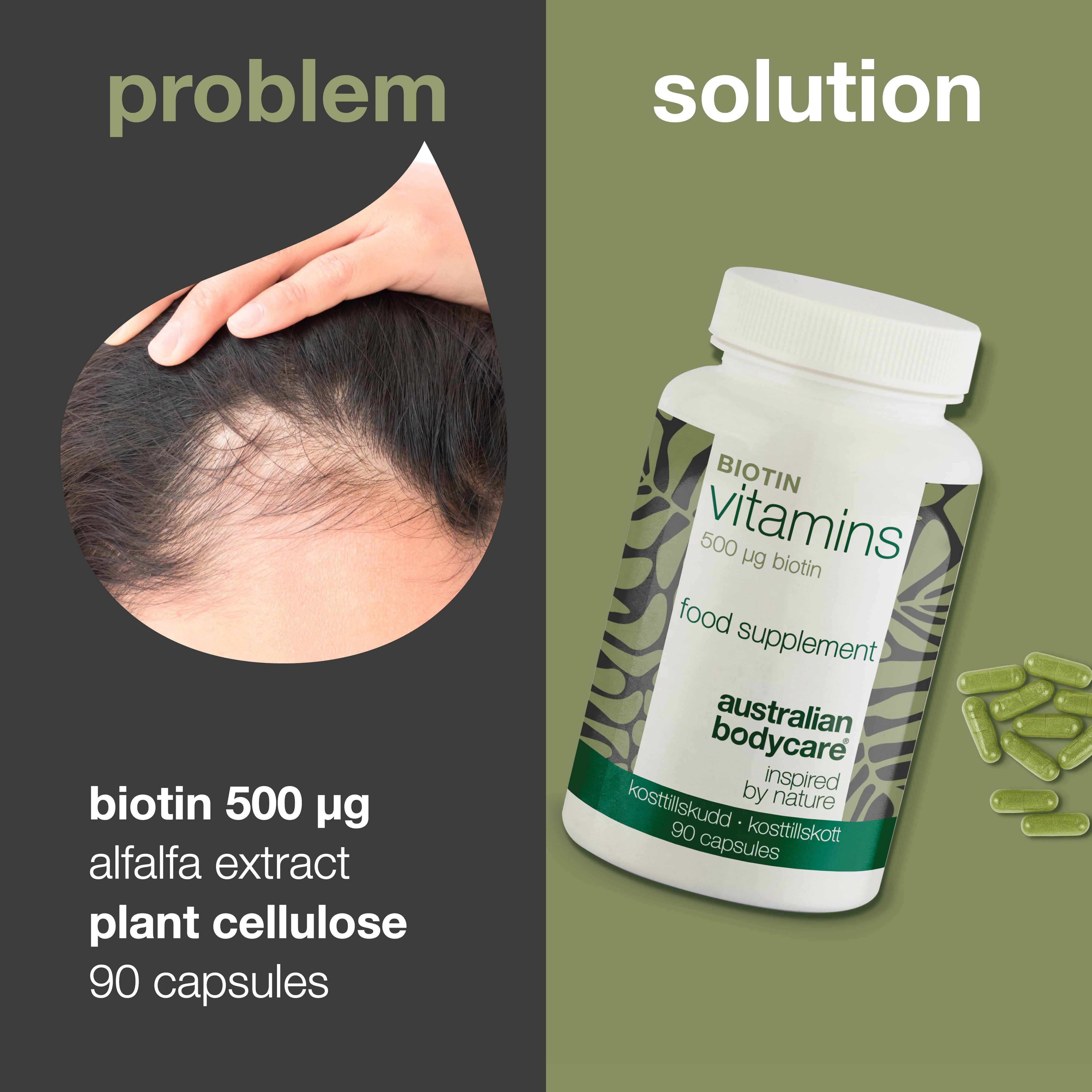 Biotin 500 µg – Daily Vitamin B7 Supplement – 90 Count — Biotin 500 µg with Vitamin B7 – 90 tablets for daily use to help maintain hair, skin, and mucous membranes. Key: biotin, alfalfa, cellulose.