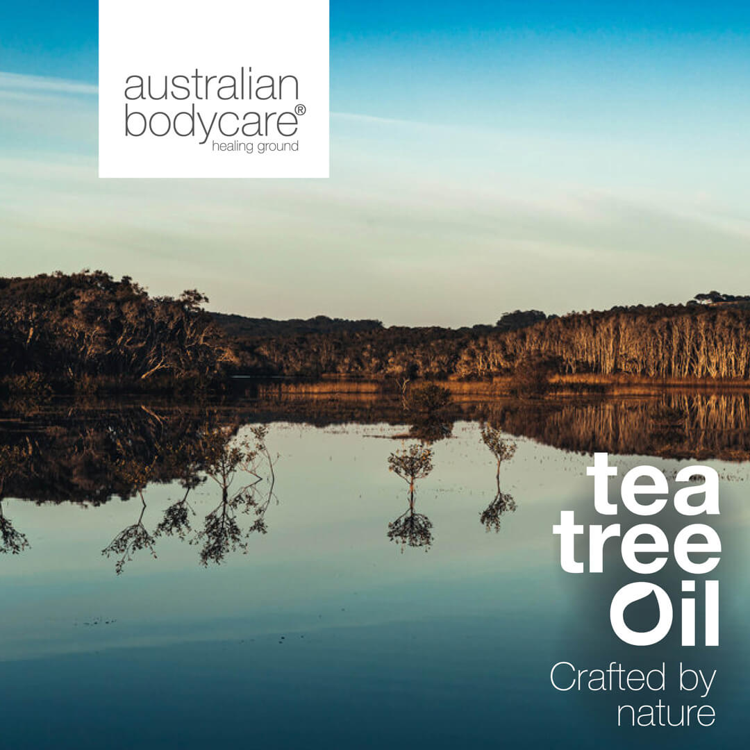 Tea Tree Oil -hilseshampoo kuivaa ja kutiavaa päänahkaa vastaan ​​- Tea Tree Shampoo päivittäiseen hoitoon ja hilseen, hilseilyn ja päänahan läiskien ehkäisyyn