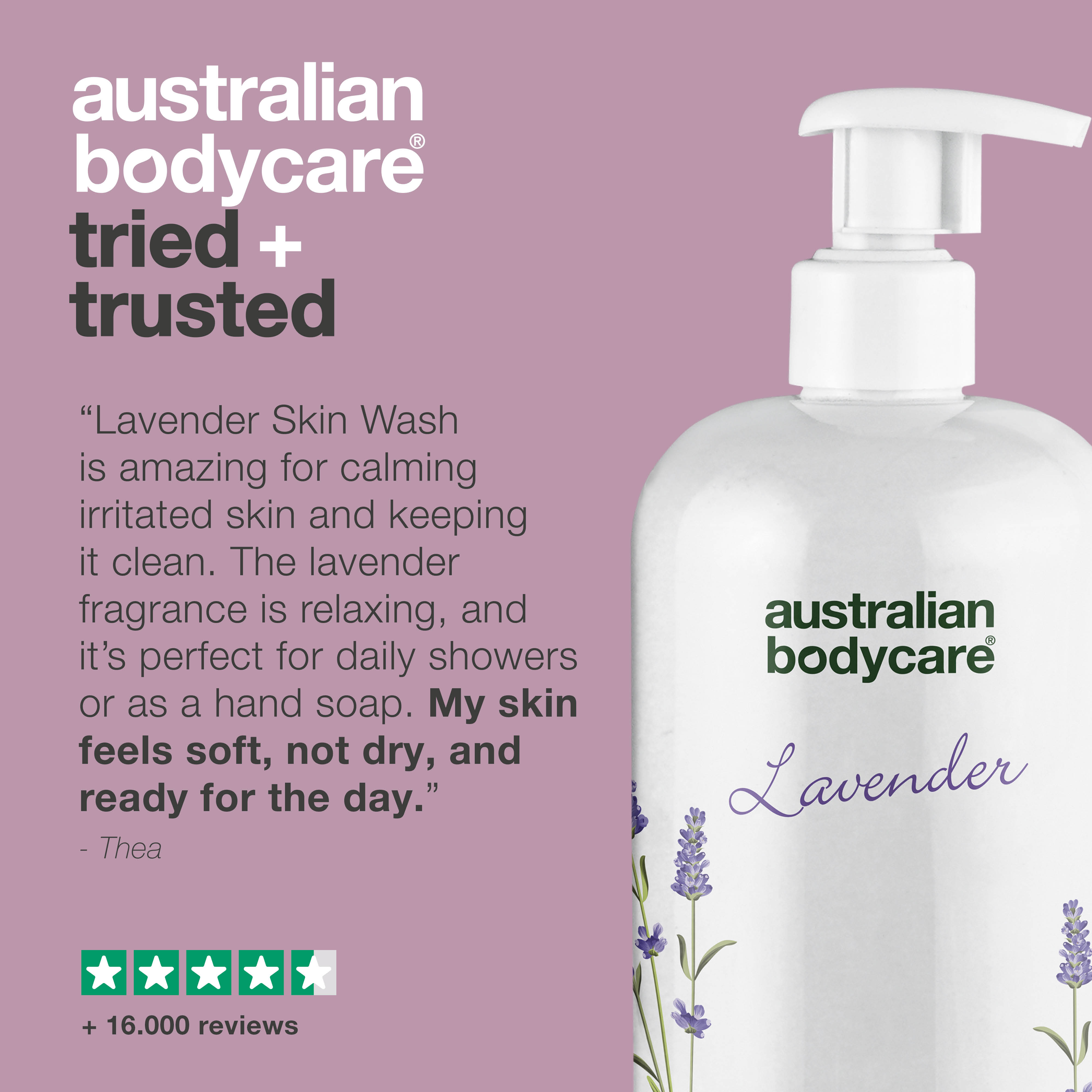 Professional Lavender Skin Wash — Professional Shower gel with Tea Tree Oil and Lavender to wash your body daily