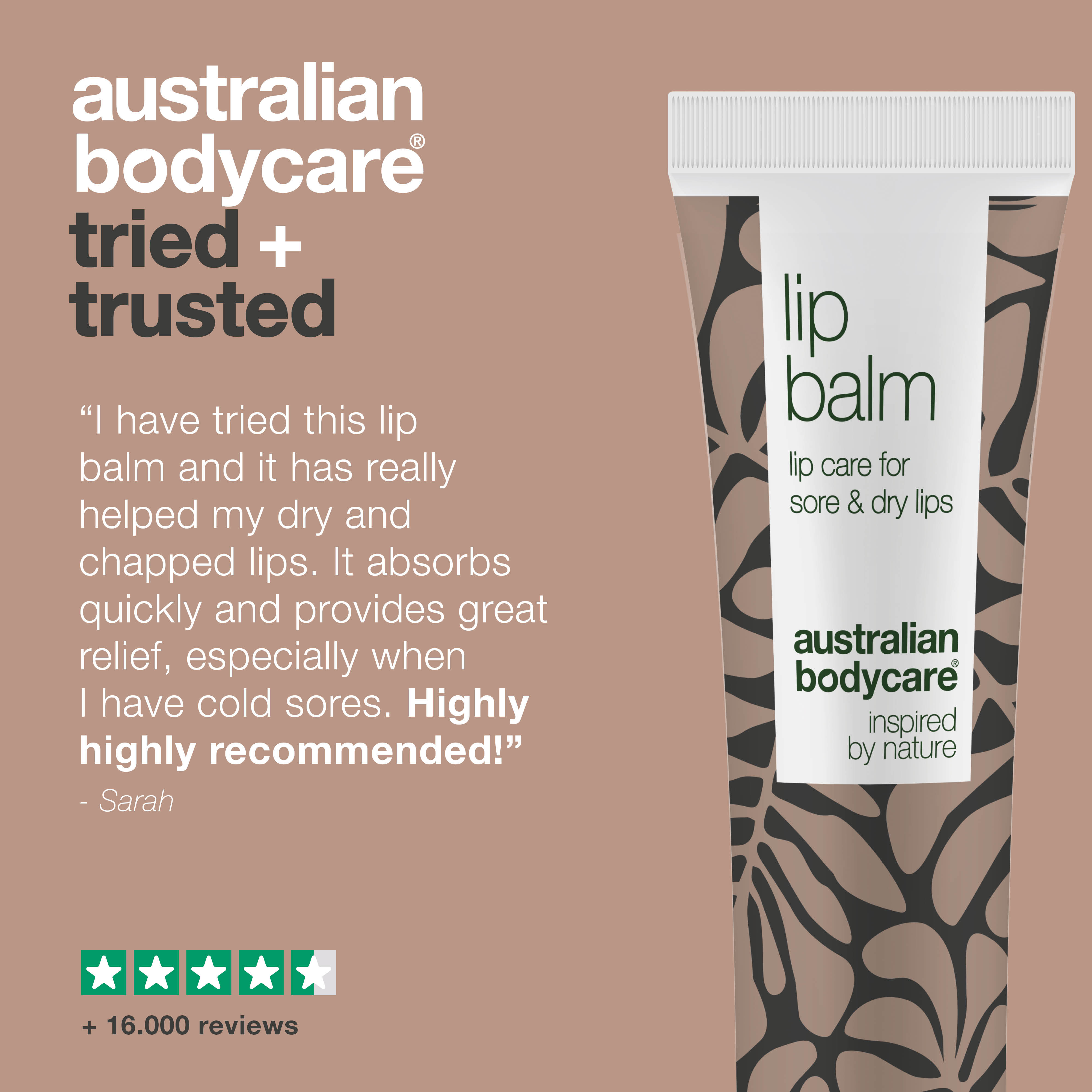 Lip balm for care of dry and chapped lips — Lip balm with Tea Tree Oil for dry lips & care of cold sores