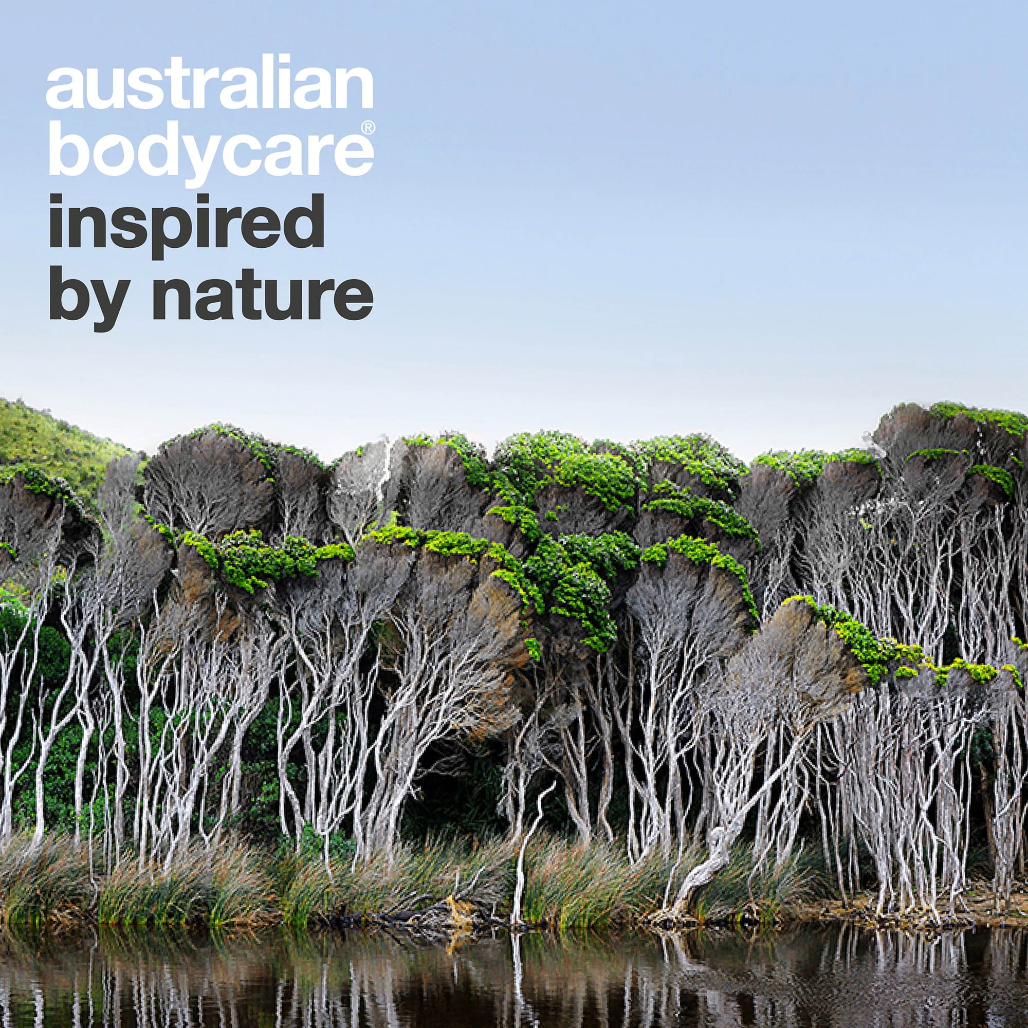 Australian Bodycare – inspired by nature: Australian landscape with tea trees
