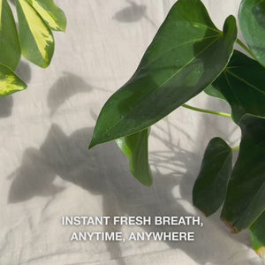 Close-up of a hand shaking the compact mouth spray bottle, then spraying a fine, mist-like, hydrating formula onto the tongue and gums—its lightweight, cool mist instantly refreshes breath, moisturizes dry mouth, soothes irritation, and leaves a minty, clean sensation.