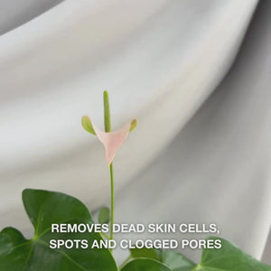Video: the Salicylic Acid Body Scrub from Australian Bodycare is massaged onto damp skin, rinsed off and leaves the skin smooth and clean