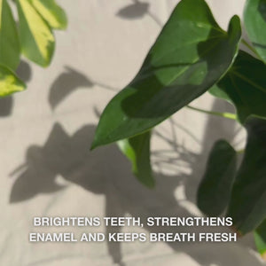Close-up of a hand squeezing a pearl-sized amount of opaque, smooth Whitening Toothpaste onto a toothbrush, then brushing in gentle circular motions: the fine paste—formulated with hydrated silica, alumina, and menthol—visibly removes surface stains while strengthening enamel and leaving breath fresh and clean 