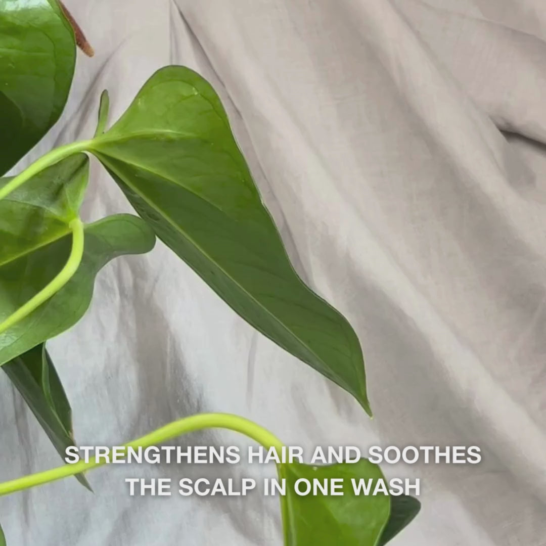 Close-up of a hand pressing a pump to dispense creamy, translucent Hemp Shampoo into the palm, followed by massaging it into wet hair to create a soft, hydrating lather that nourishes, moisturizes, and soothes the scalp.