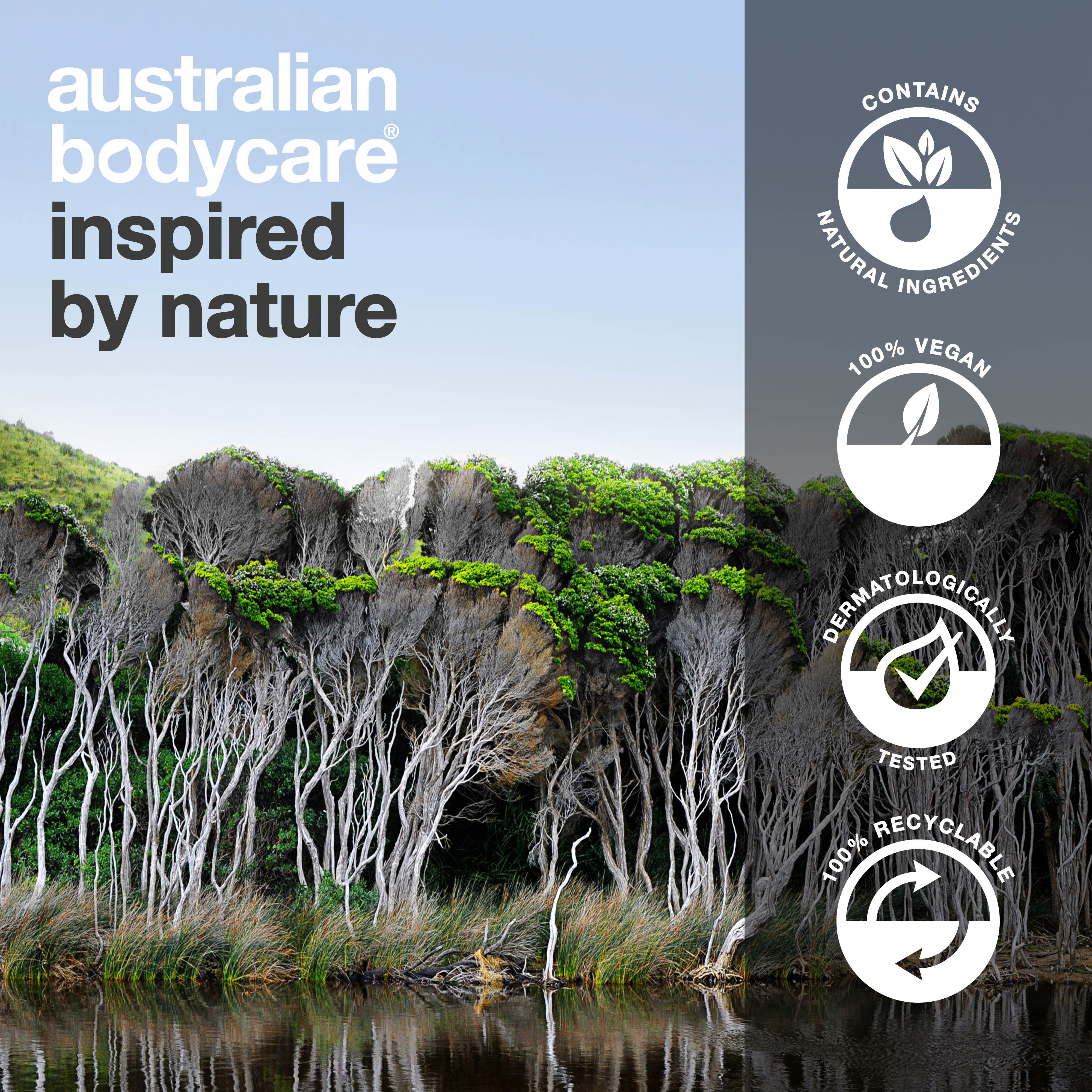 Tea Tree Body Wash for body acne, odor and itch – with Tea Tree Oil and Zinc PCA