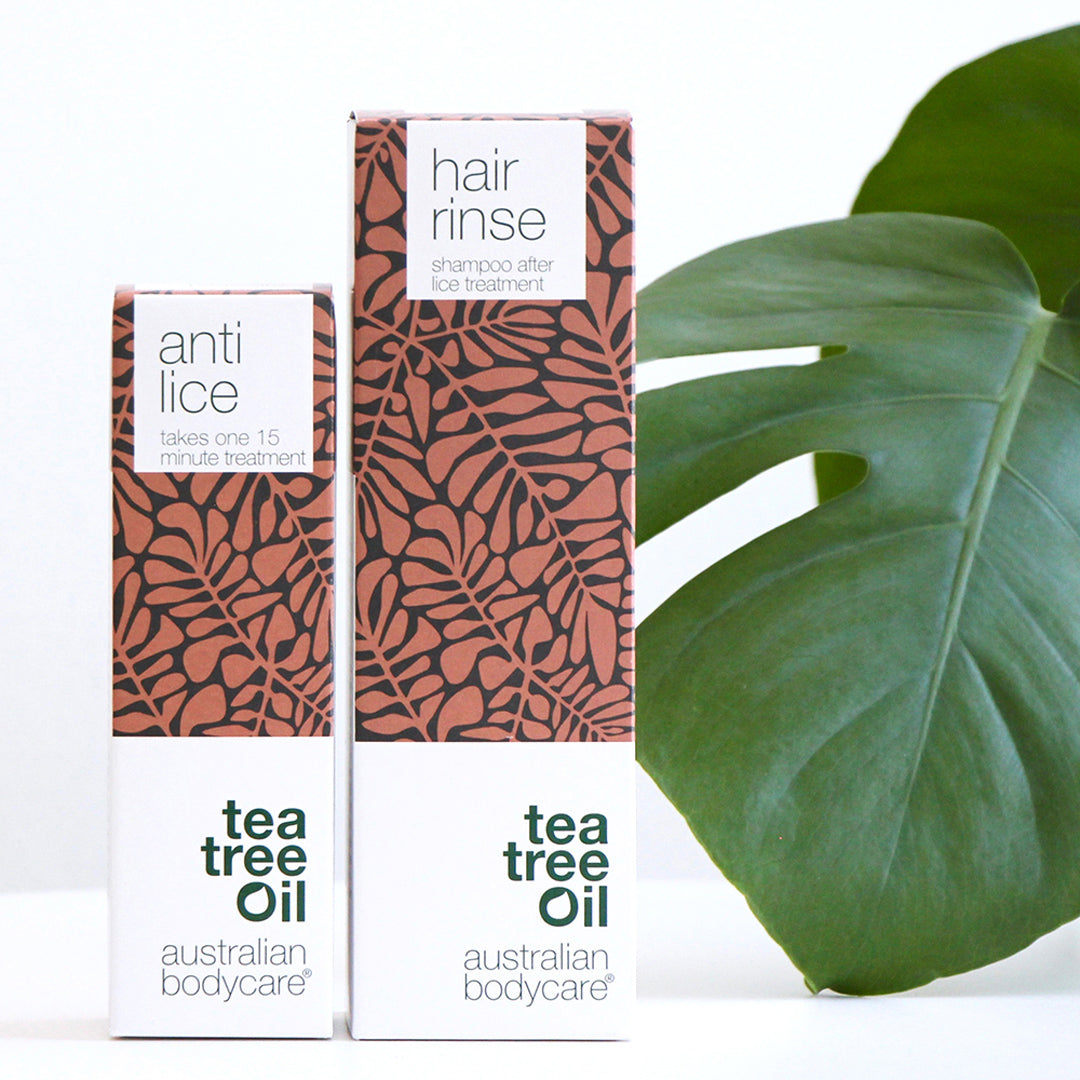 Fejtetű sampon teafaolajjal – sampon a fejtetű megelőzésére és hajmosásra a tetűkezelés után